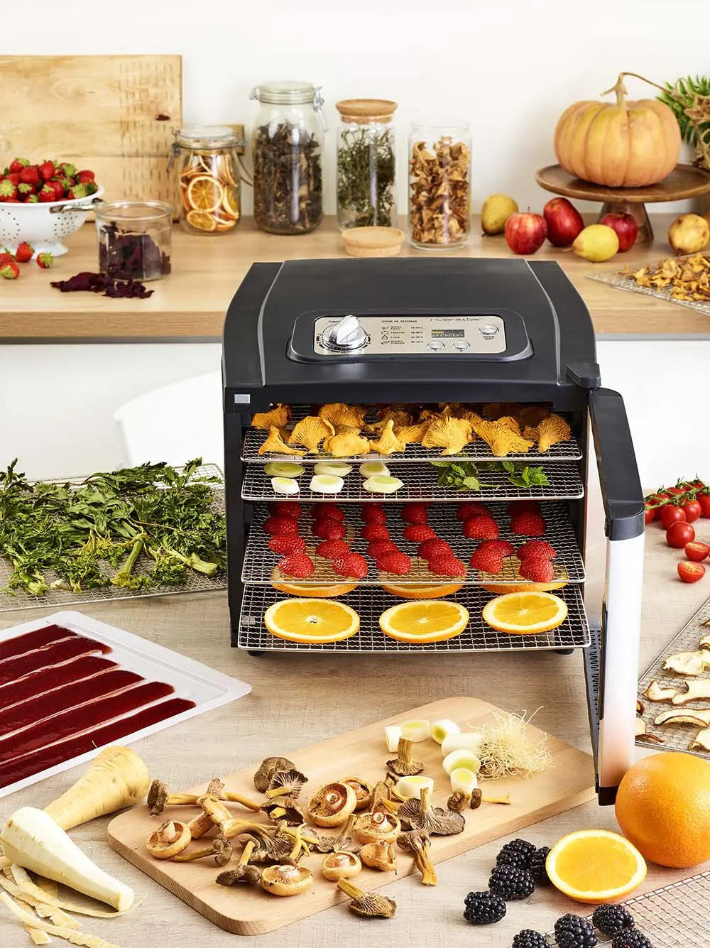 Riviera & Bar deshidrator fructe 6 tăvi inox cu timer