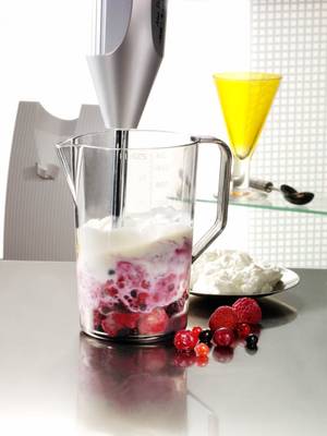 ESGE-Zauberstab M250 blender vertical 250W cu suport perete
