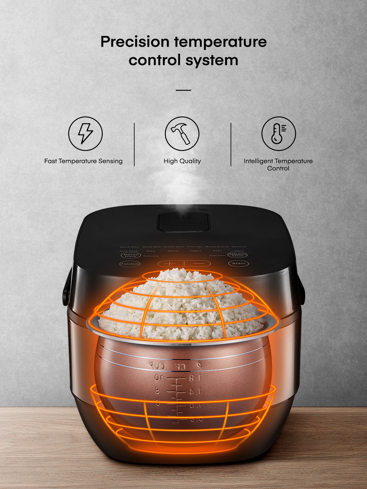 Aicook multicooker orez 5L 10 programe digital 10 cani