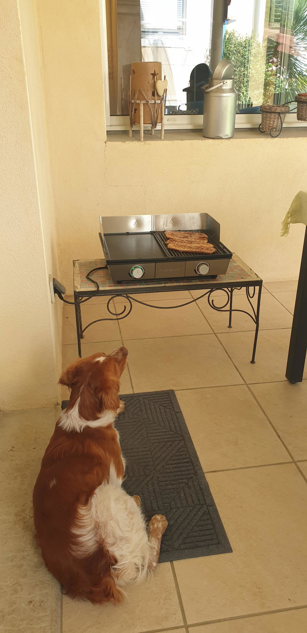 Riviera & Bar QPL 800 combina grill plancha 2 zone